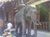 Chiang Mai Easy Riders 57 141301