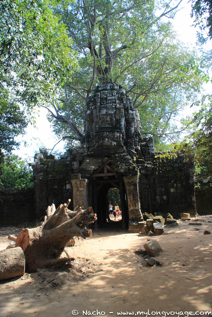 Temples of Angkor 43 43633600