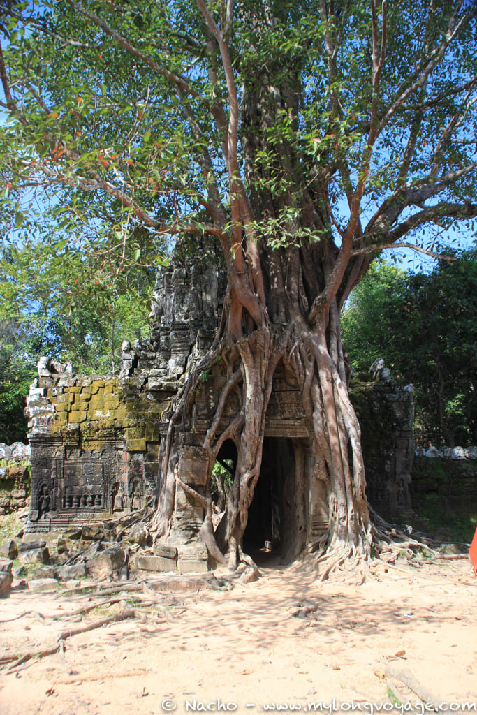 Temples of Angkor 44 43653888