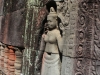 Temples of Angkor 50 43785344