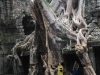 Temples of Angkor 77 44643328