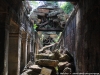 Temples of Angkor 89 44983488