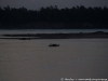 Kratie sunsets & dolphin spotting 06 46141120