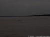 Kratie sunsets & dolphin spotting 21 48987264