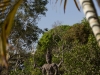 Buddha park & photo op 38 3516