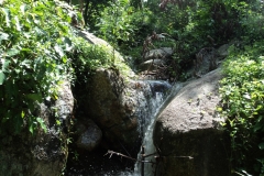 Koh Samui and Krabi 11 04289