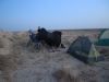 Desert roads of Uzbekistan 08 1166