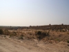 Desert roads of Uzbekistan 18 1182