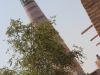 Khiva 18 1228